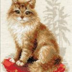Set za vezenje "Domača muca" 24 x 30 cm