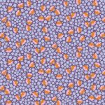Tilda Wallflower Bellflower Thristle