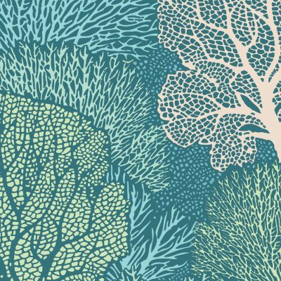 Tilda - Cotton Beach Coral Reef Teal